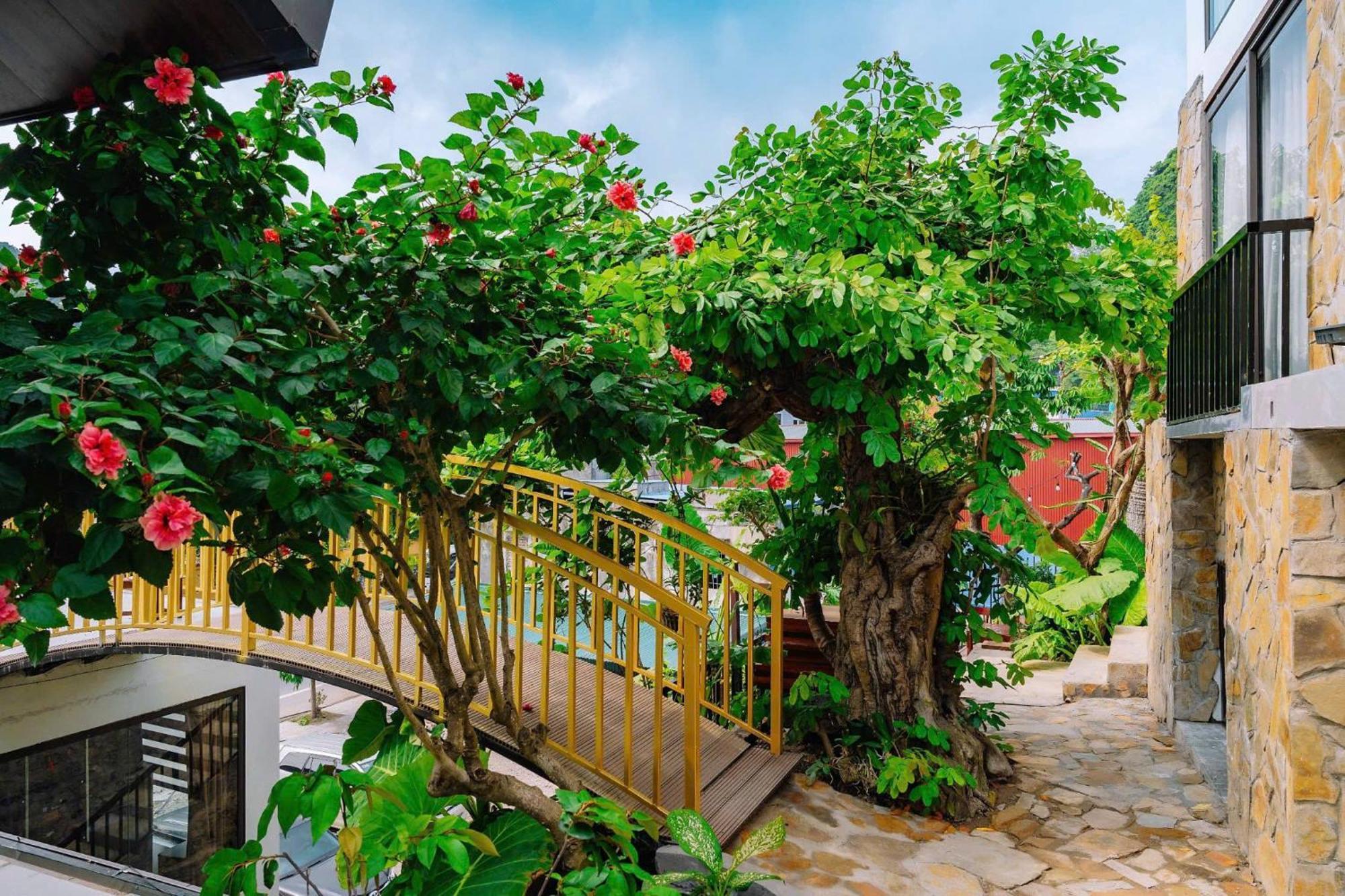 Ecorest Villa Cat Ba Chan Chau Esterno foto